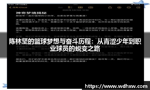 陈林坚的篮球梦想与奋斗历程：从青涩少年到职业球员的蜕变之路
